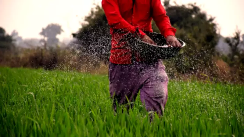 IMF, World Bank, IEA Warn of Prolonged High Fuel and Fertiliser Prices