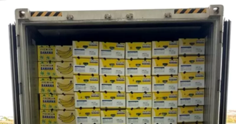 Indapur's Agrivartan FPO Exports Bananas to Dubai, Boosting Maharashtra's Agri-Exports