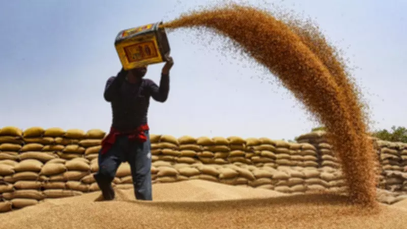 India Allows Additional 2.5 Lakh Tonnes of Wheat Export