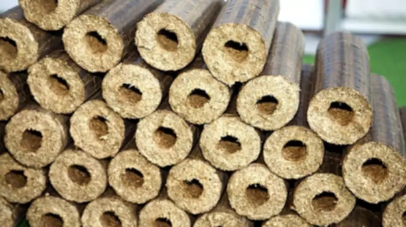 India Bans Wood Briquette Exports to Secure Domestic Fuel Supply