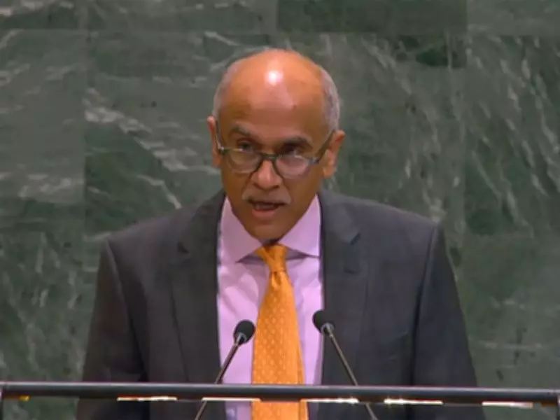 India Condemns Attacks on Commercial Ships at UN, Calls for Safe Hormuz Strait