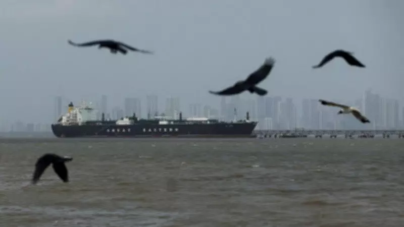 India Denies Using Cash or Crypto for Hormuz Passage, Clarifies After Ship Incident