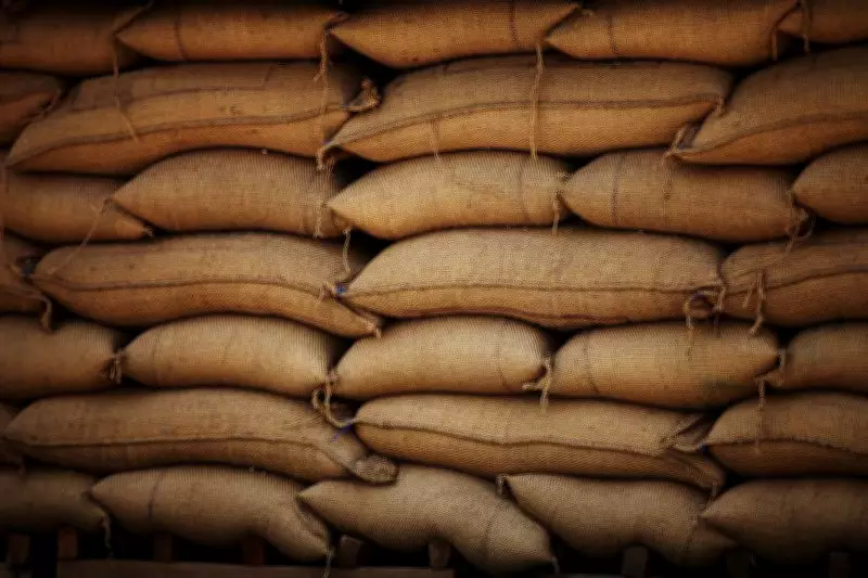 India Maintains Robust Food Grain Buffer Stock Amid West Asia Crisis, Assures Government