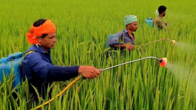 India Plans Major Fertiliser Imports Ahead of Kharif Season Amid Global Price Surge