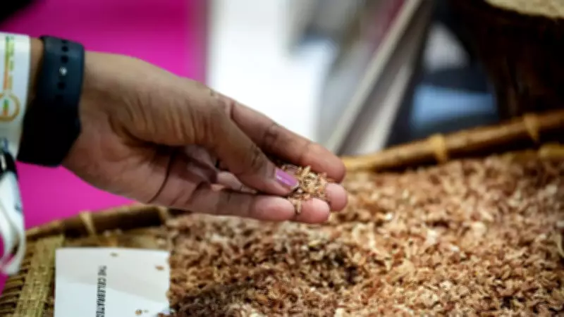 India Plans Wheat Exports to Egypt, Indonesia, Myanmar Amid Surplus Stocks