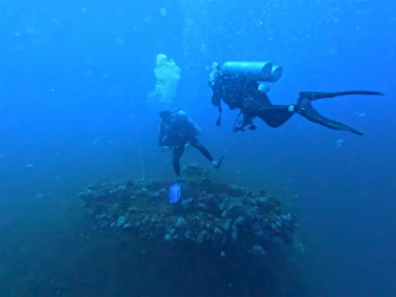 Indian and Sri Lankan Navies Enhance Maritime Ties with Diving Drills in Colombo