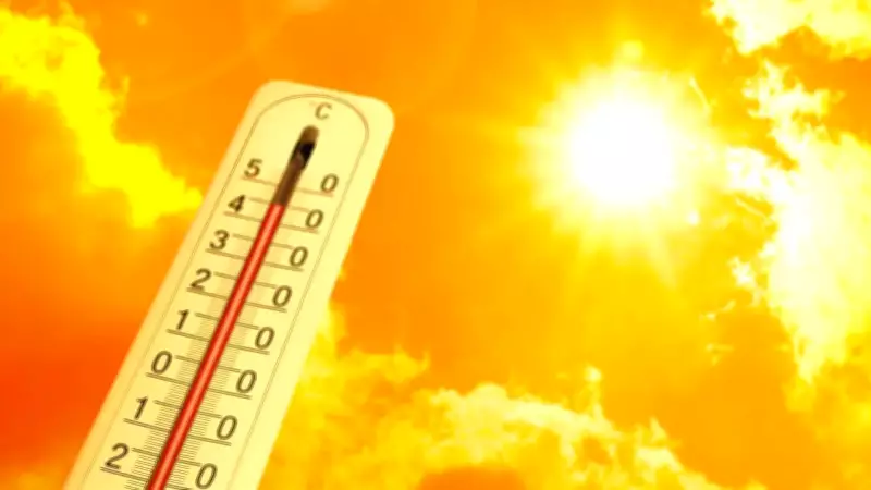 Indian Heatwave: 10 Cities Record 46°C, Scorching World's Hottest List