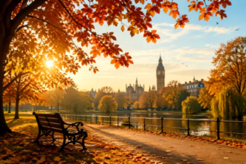 Indian Summer: What It Is, Why It's Called That, and Its Meaning