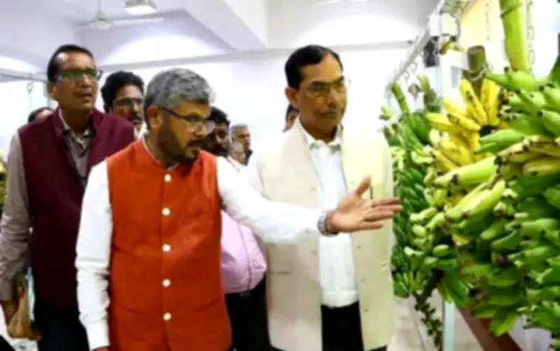 India's Banana Diversity at Risk, New Gene Bank in Trichy Offers Hope