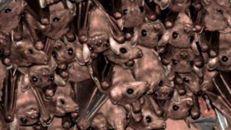 India's Bats Face Critical Threats Amid Ecological Importance, New Report Reveals