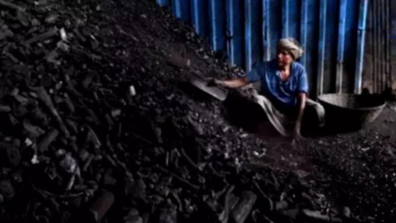 India's Coal Imports Dip 8.5% in February Amid Domestic Stock Surge