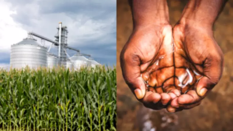 India's Ethanol Push May Worsen Water Crisis: Report