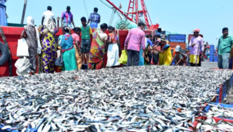 India's Fisheries Exports Surge to Rs 68,000 Cr Despite US Tariffs