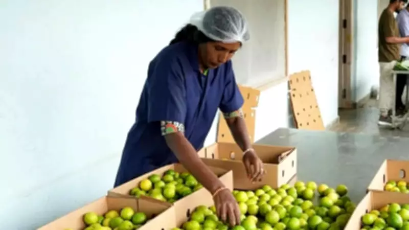 India's GI Tag Applications Surge Past 2,000, Aiming for 10,000 by 2030