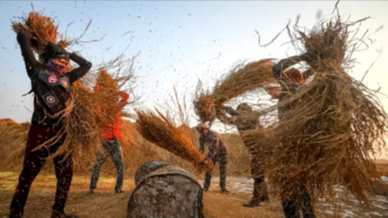 India's Labour Question Is Now a Supply Chain Question