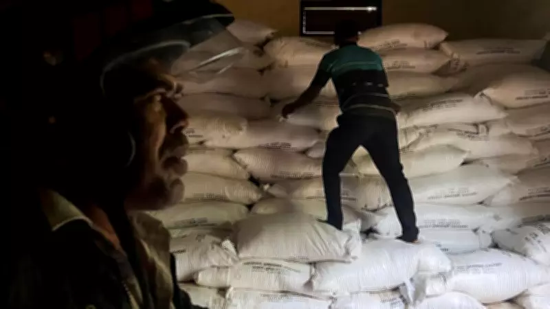 India's Massive Urea Import: 2.5 Million Tons at Double Price Amid Global Squeeze