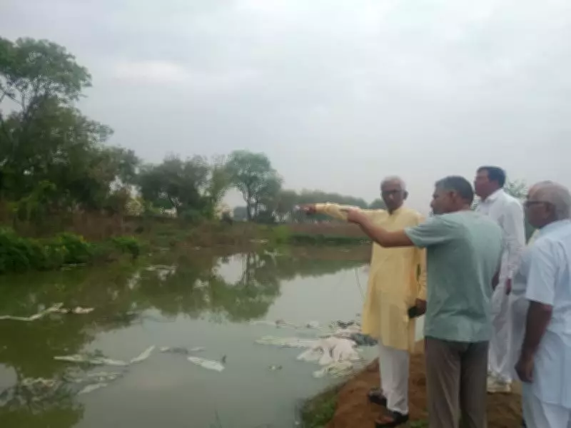 Industrial Waste from Rajasthan Threatens Haryana Communities and Environment