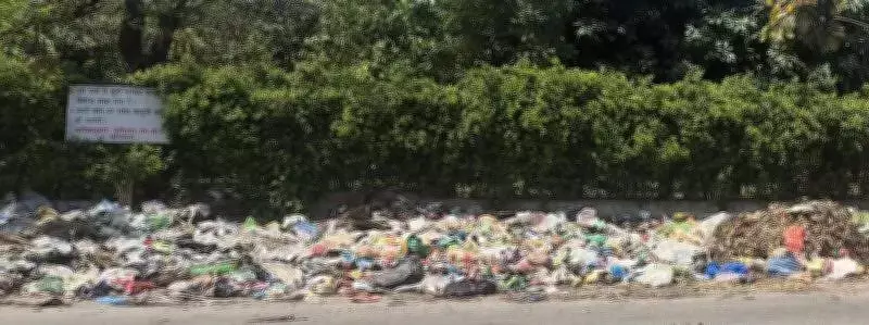 Industrialists in Ludhiana Decry Filthy Focal Points, Say Civic Neglect Hurts Business