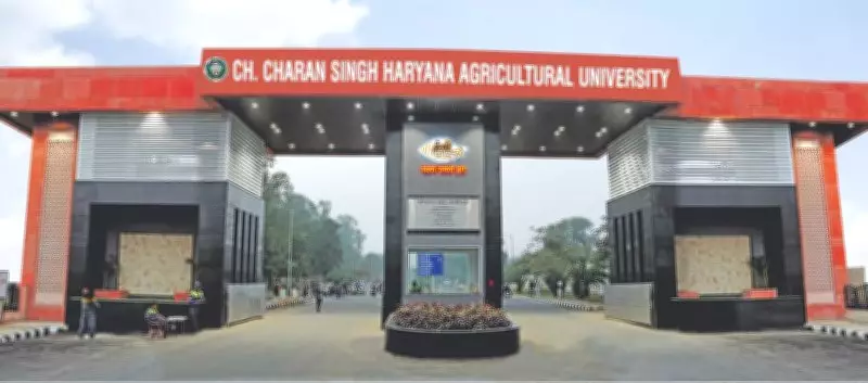 INLD Leader Calls for Judicial Probe into Haryana University VC Scam