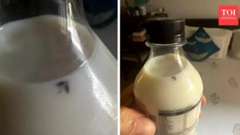 Insect Found in Packaged Milk Sparks Social Media Debate on Food Safety
