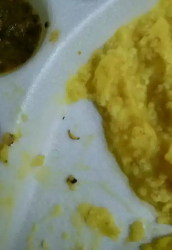 Insect-Infested Food Served at Ahmedabad's ESIC Hospital Sparks Outrage