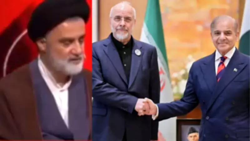 Iran MP calls nuclear talks in Pakistan a 'strategic mistake'