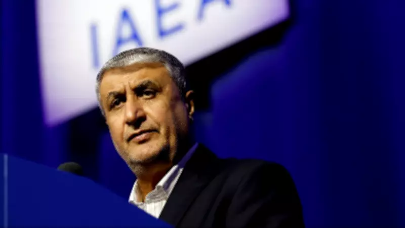 Iran Nuclear Chief: Uranium Enrichment 'Necessary' for US Ceasefire Talks