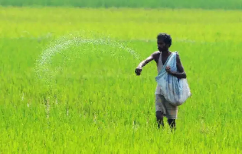 Iran War Disrupts Urea Supply, Threatens India's Kharif Season and Food Security