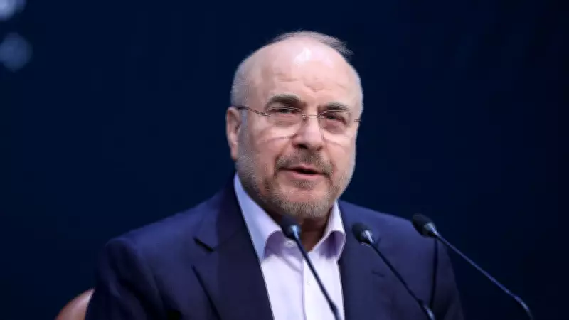 Iranian Negotiator Says US Failed to Build Trust in Nuclear Talks