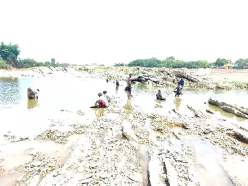 Irular Families Scour Dried Varada River for Gold Particles in Haveri