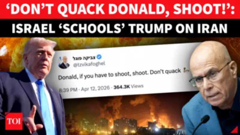 Israeli Lawmaker's Blunt Call to Trump: 'Shoot, Don't Quack' Against Iran