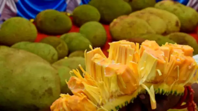 Jackfruit's Price Surge in Karnataka: From Humble Fruit to Urban Delicacy