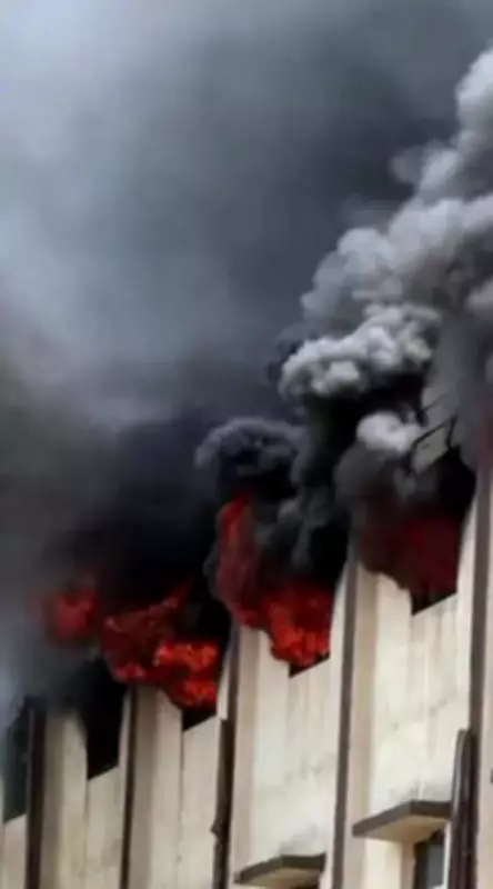 Jind Factory Fire Tragedy: Families Reject Compensation, Demand Govt Jobs