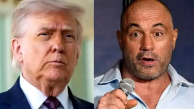 Joe Rogan Reacts to Trump's Viral AI Jesus Image After UFC 327 Meeting