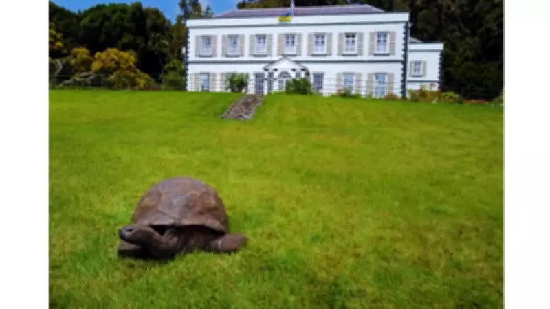 Jonathan the Tortoise: World's Oldest Land Animal at 194 Years