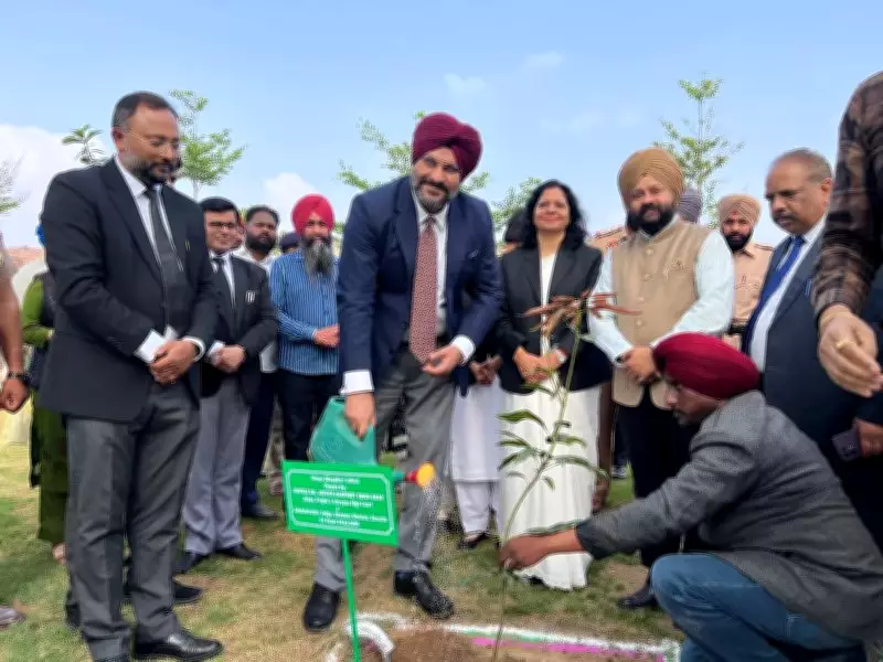 Judge's Initiative Transforms Fatehgarh Channa Village in Punjab
