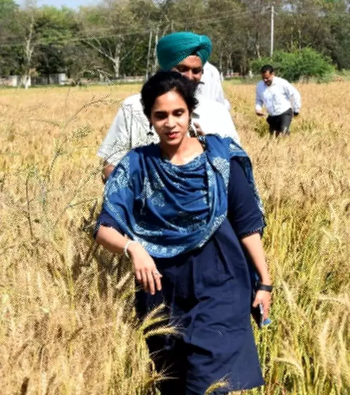 Kaithal DC Empowers Women Sarpanches to Combat Proxy Leadership in Panchayats