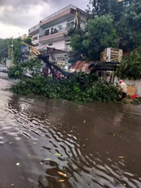 Kanpur Hit by Sudden Hailstorm and Rain, Bringing Relief from Heat