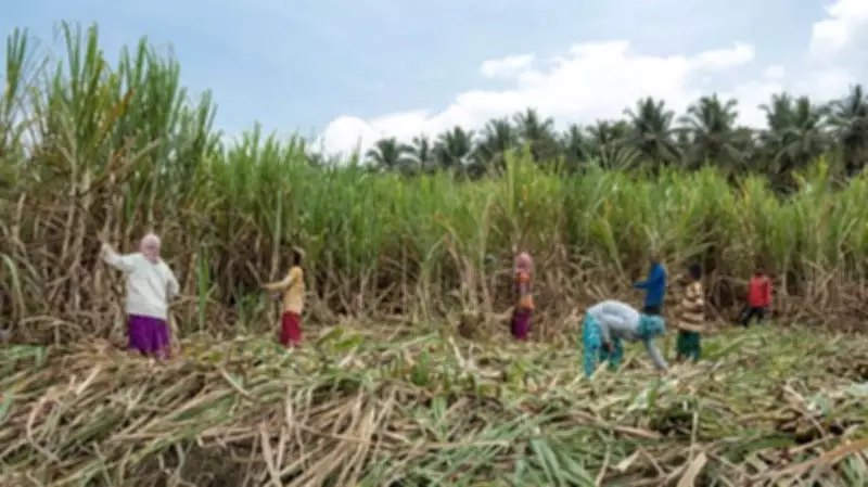 Karnataka Farmers Plan Protest Over Dues, Oppose Bandipur Night Traffic