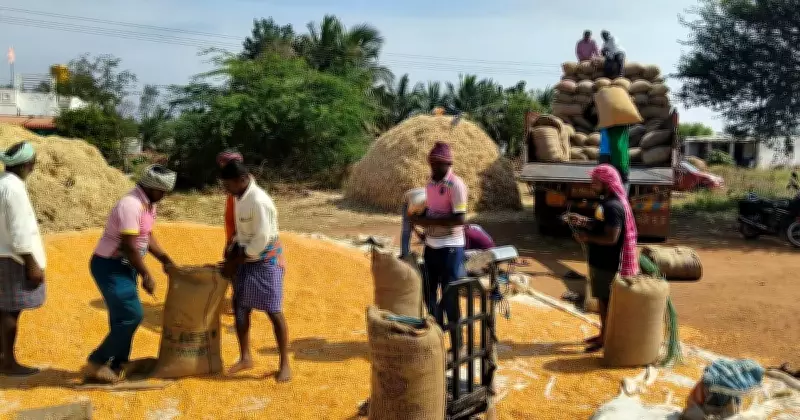 Karnataka Farmers See Major Income Boost from World Bank REWARD Program