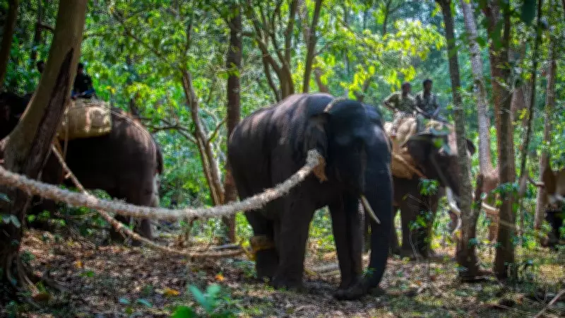 Karnataka Forest Department Deploys First Dog Squad in Elephant Rescue Operation