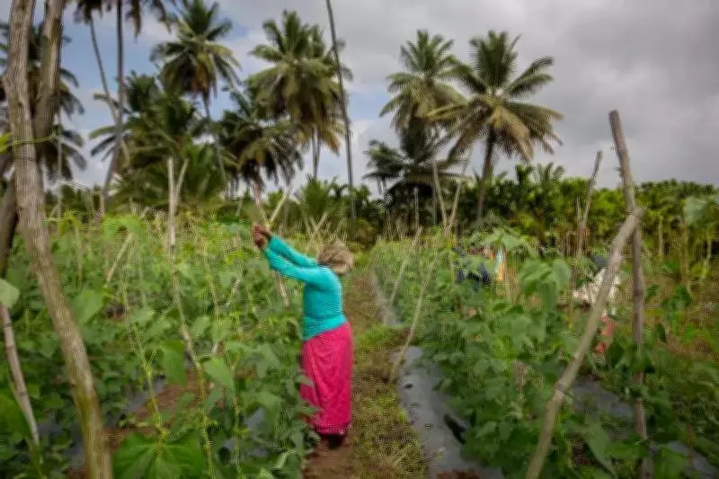 Karnataka Government Considers Raising PACS Loan Margins Amid Financial Crisis