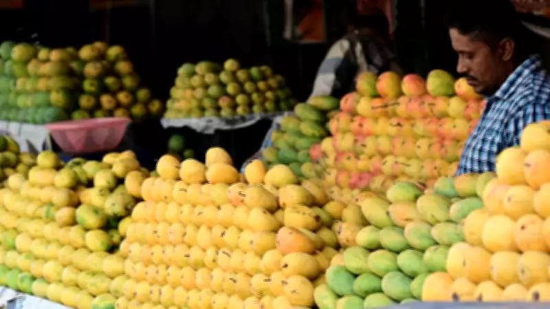 Karnataka Mango Production Plummets, Prices Set to Soar This Season