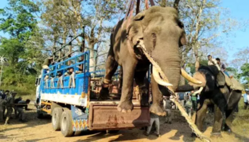 Karnataka Records 53 Fatalities in Human-Animal Conflicts, Southern Districts Worst Hit