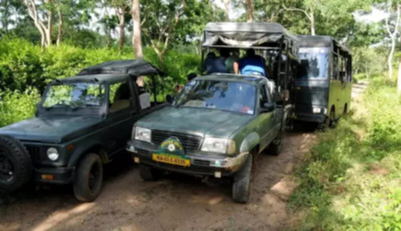 Karnataka Tiger Reserves Generate Rs 24 Crore Revenue Despite Safari Suspension