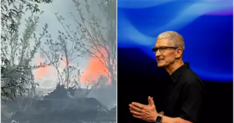 Kerala Fireworks Blast Kills 8, Apple CEO Tim Cook Resigns After 15 Years