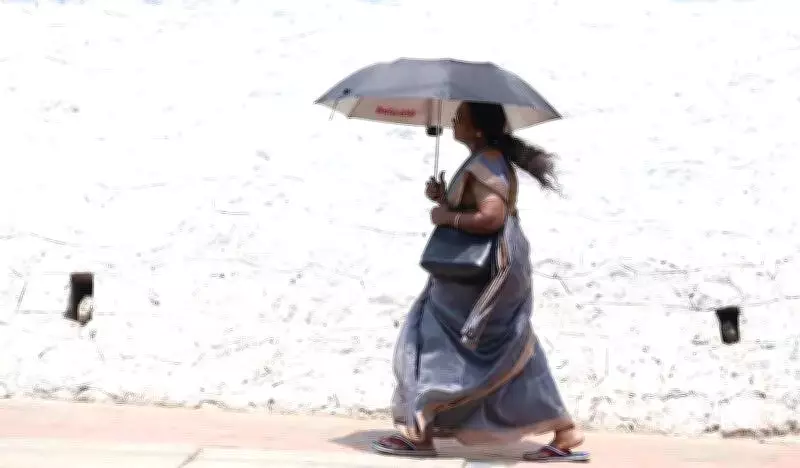 Kerala Heatwave Alert: IMD Issues Yellow Warning, KSDMA Cautions Against Fake Messages