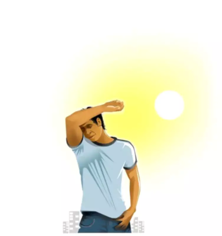 Kerala Heatwave Intensifies: Three Hospitalized with Sunstroke in Palakkad and Idukki