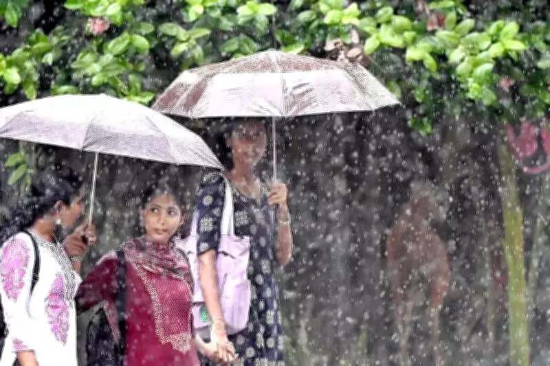 Kerala Weather Alert: IMD Issues Hot & Humid Warning for 12 Districts