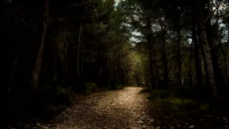 Kerala Woman Goes Missing During Group Trek in Madikeri, Karnataka